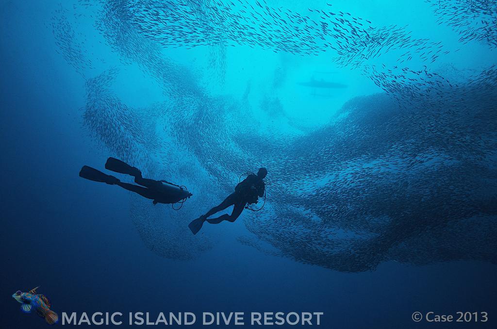 Magic Island Dive Resort Моалбоал Экстерьер фото